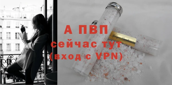ешки Карпинск