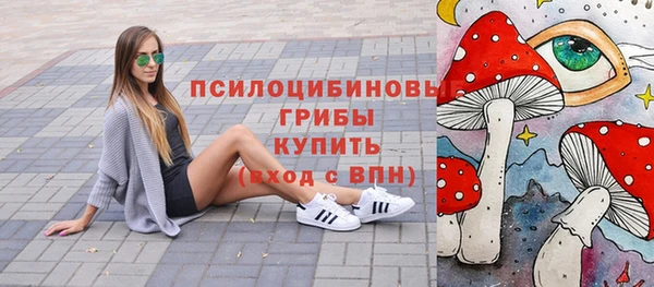 ешки Карпинск