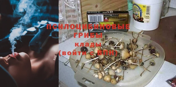 прущие крисы Киренск