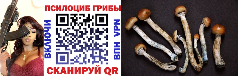 Купить  Горно-Алтайск  Галлюциногенные грибы ЛСД 